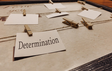the main word is determination