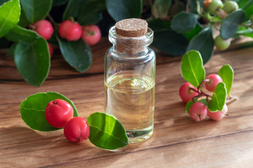 A bottle of wintergreen essential oil with wintergreen twigs