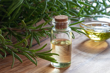 A bottle of rosemary essential oil with fresh rosemary twigs