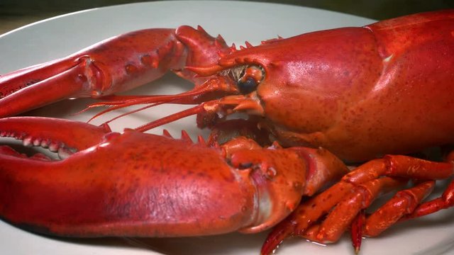 Hot smoking Boiled Lobster 