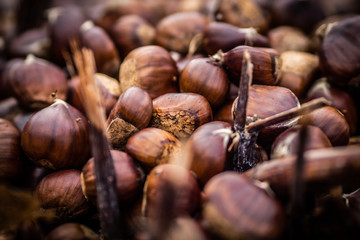 Kastanien und Laub Makro