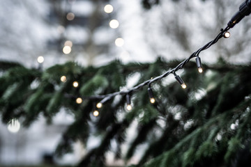 christmas lights