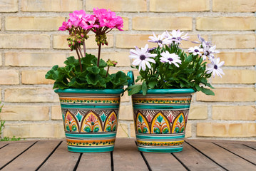 Fototapeta na wymiar Two Flowerpots on the Table in the Garden against brick wall