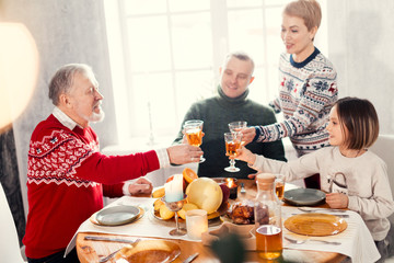 friendly family clinking glasses during the party. closest people in the world.happy parenthood.