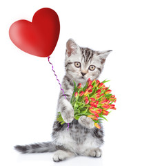 Cat with a bouquet of tulips and heart balloon. isolated on white background