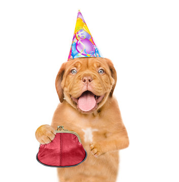 Happy puppy in party hat with retro wallet. isolated on white background