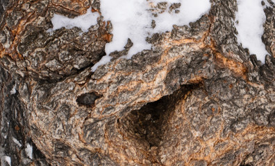 wooden beautiful object