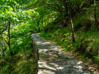 View of Hiking Trail in Val Grande National Park