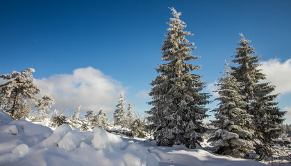 Winter auf dem Schliffkopf im Schwarzwald