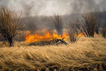 Nature disaster, environmental problem of air pollution. Fire in a forest