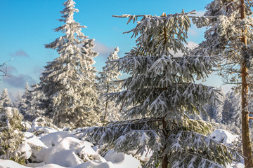 Winter auf dem Schliffkopf im Schwarzwald
