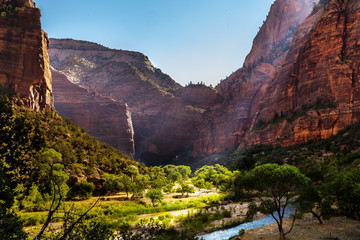 Zion national park