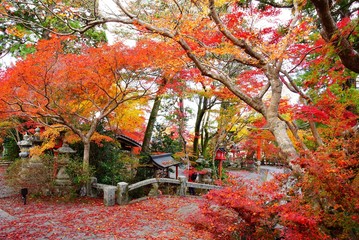  京都鍬山神社の紅葉