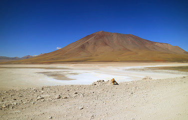An Andean Fox or Zorro Culpeo Walking on the Lake Shore of Laguna Verde in Potosi, Bolivia, South America 