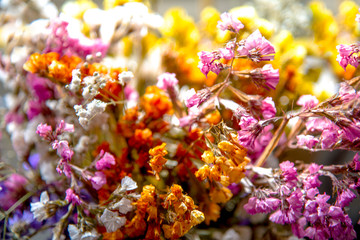 dried flowers in abstract composition