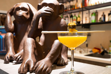 Sushi Martini Cocktail and Monkeys