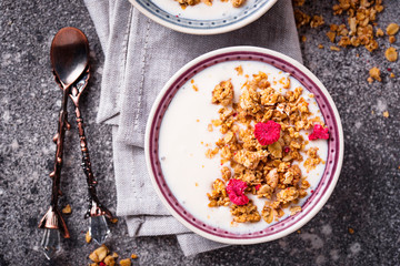 Granola with yogurt and dried raspberries