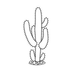 Isolated object of cactus and pot sign. Set of cactus and cacti stock vector illustration.