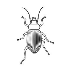 Vector illustration of insect and fly symbol. Collection of insect and element vector icon for stock.