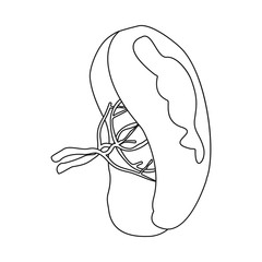 Vector illustration of body and human logo. Set of body and medical stock vector illustration.