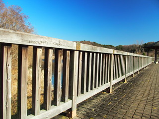 木橋のある公園風景