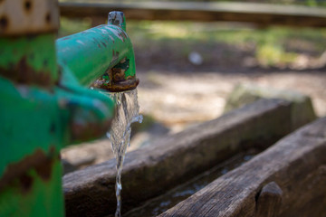 Grüne, verrostete Wasserpumpe mitten im Wald