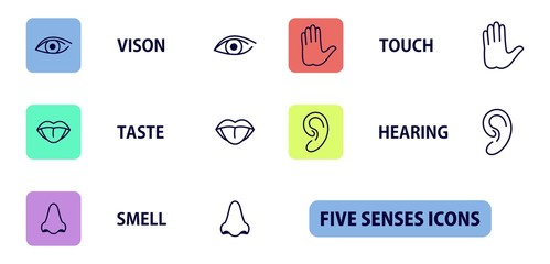 5 senses icons