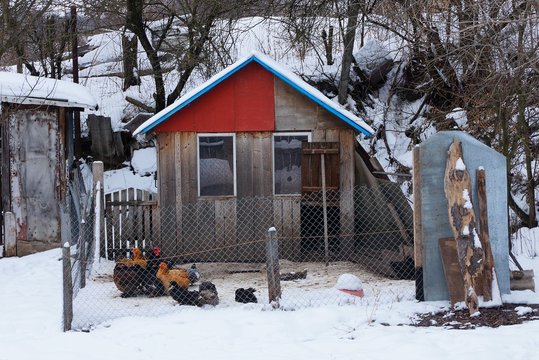 wooden chicken coop with hens in the yard behind the mesh of the fence in white snow