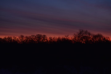 Fototapeta premium dawn