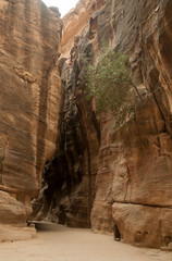 Travelling to Petra in Jordan
