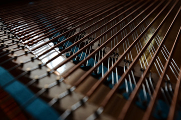 Interior of a Baby grand piano showing the strings