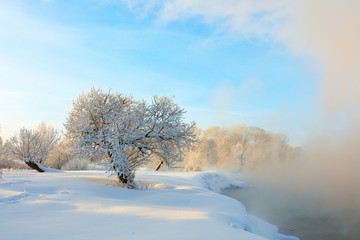 Winter landscape of trees and river in a foggy morning. Frost and cold and sunshine.