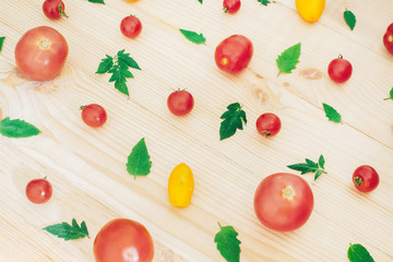 Food composition with red and yellow tomatoes and green leaves on light wooden background