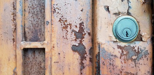 abstract,animal,art,background,beautiful,black,boiled,brown,claw,color,cook,cooked,cooking,crab,crustacean,cuisine,dark,delicious,dinner,eat,food,fresh,freshness,gourmet,gray,group,healthy,legs,life,l