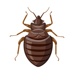 Isolated object of insect and fly symbol. Set of insect and element stock vector illustration.