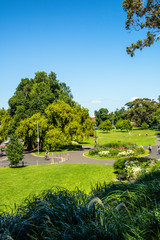 Passeio no parque