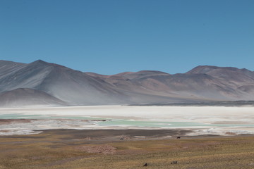 Desert Amérique du sud