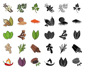 Herb and spices cartoon,black icons in set collection for design.Different kinds of seasonings vector symbol stock web illustration.