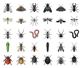 Different kinds of insects cartoon,black icons in set collection for design. Insect arthropod vector symbol stock web illustration.