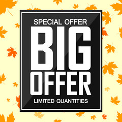 Big Offer, poster design template, Autumn Sale banner, special offer, vector illustration
