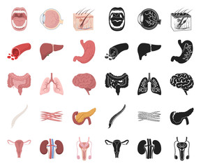 Internal organs of a human cartoon,black icons in set collection for design. Anatomy and medicine vector symbol stock web illustration.