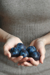 Prunes in female hands. Autumn Harvest and Holiday concept. Close up