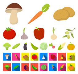 Different kinds of vegetables cartoon,flat icons in set collection for design. Vegetables and vitamins vector symbol stock web illustration.