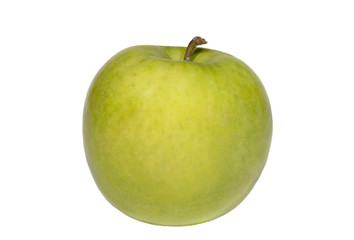  one big green apple on white background