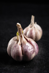 Fragrant garlic on a dark background with space for text.