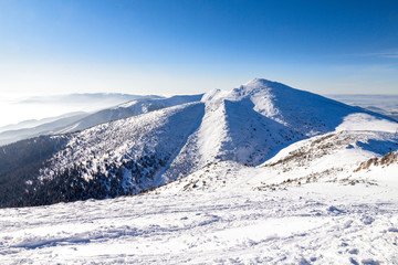 Fototapeta na wymiar Winter snowy landscape at mountain during a sunny day with blue sky. The Mala Fatra national park in Slovakia, Europe.