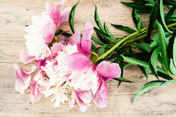 Fototapeta na wymiar Bouquet of pink peonies on wooden table. Still Life and Gardening.