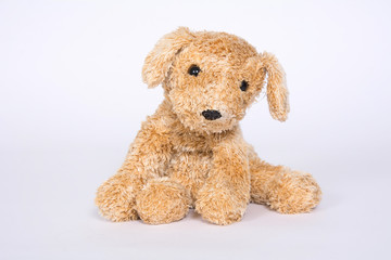 Soft toy doggie isolated on light background