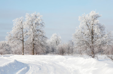 Fototapeta na wymiar winter forest snow road trees