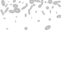 Russian ruble coins falling. Scattered black and w